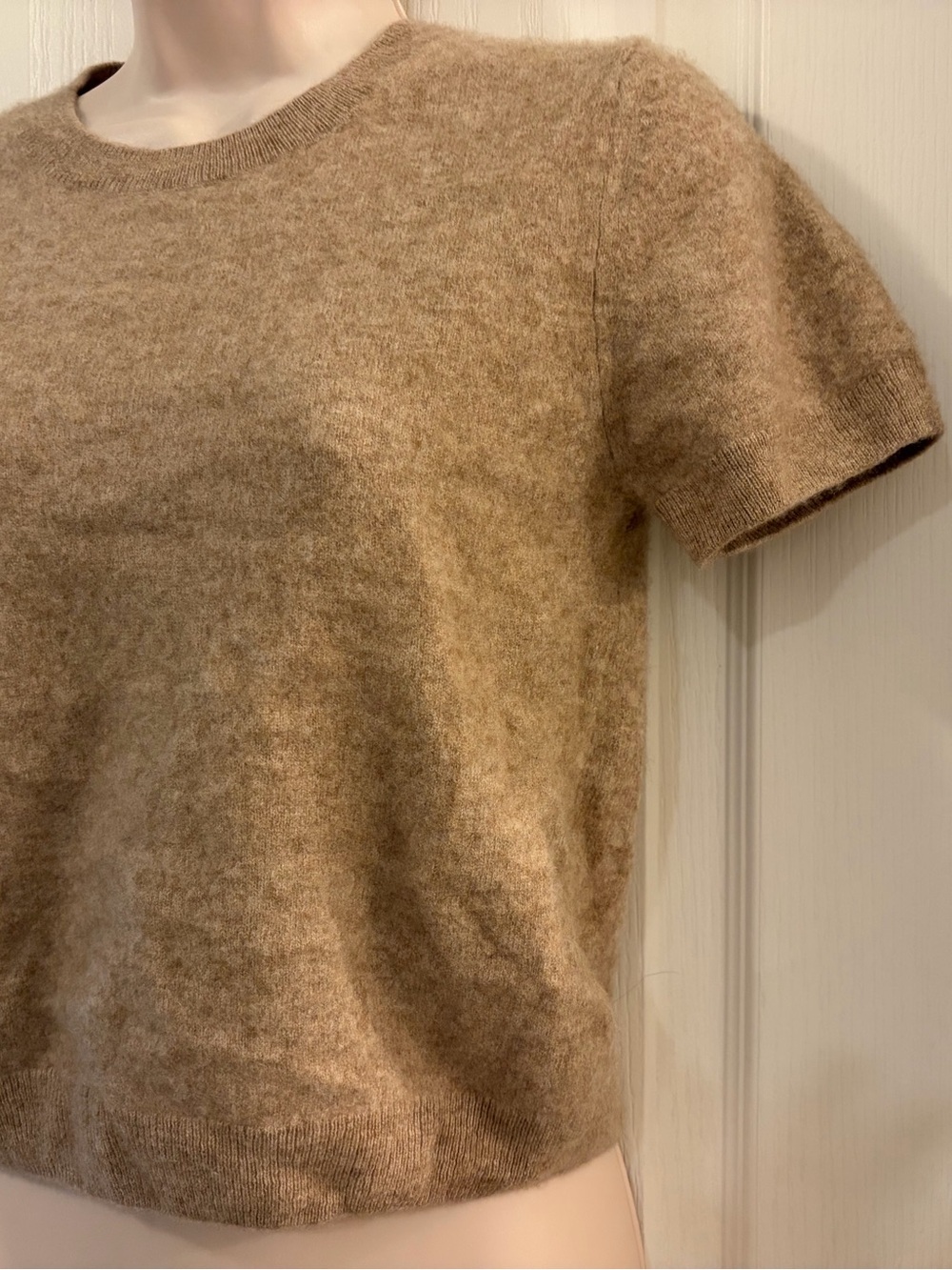 Quince Short-Sleeve Cashmere Sweater in Camel - Picture 3 of 5